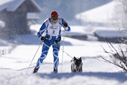 Lenk 2013